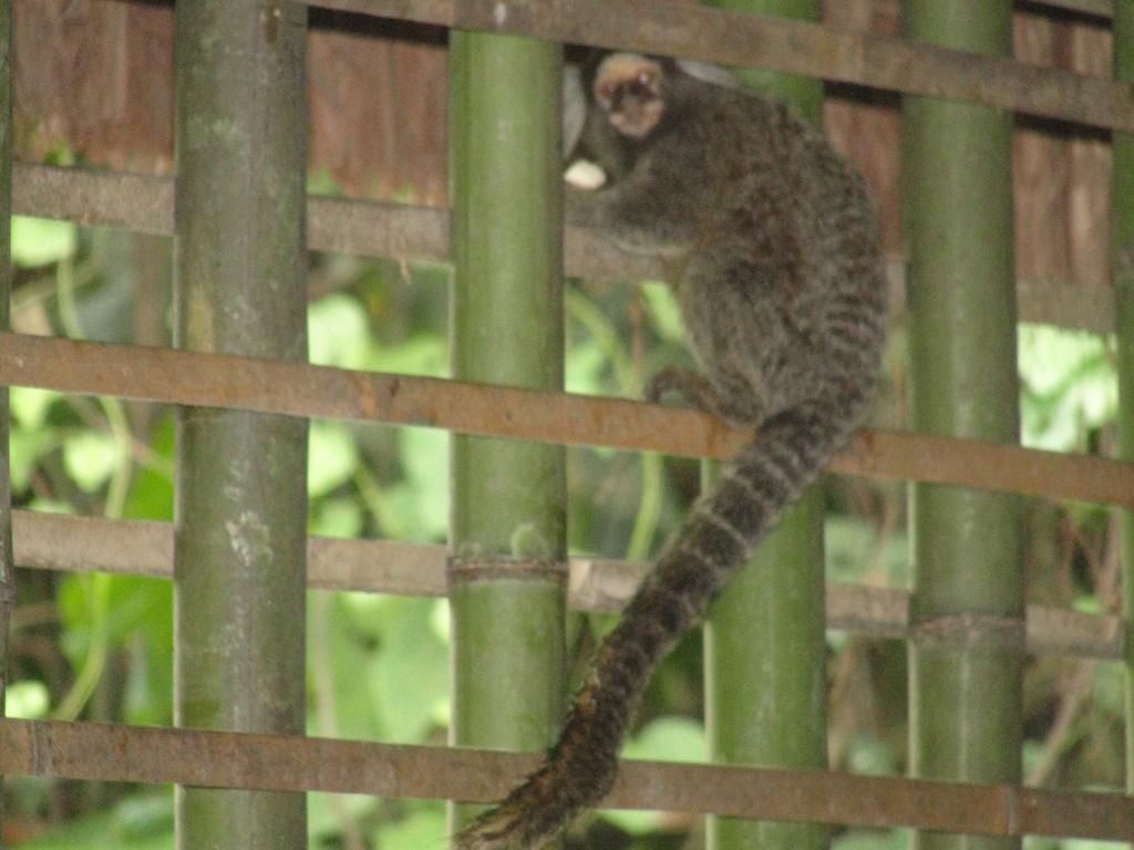 Pousada Da Terra Paraty Kültér fotó